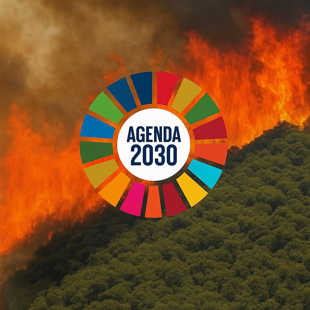 ¿Por qué la Agenda 2030 no tiene nada que ver con los incendios ?